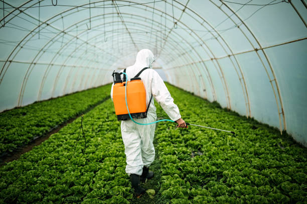 Best Mosquito Control Services  in Batavia, NY